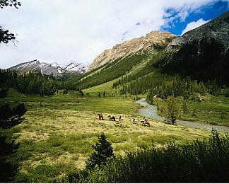 《Fi-Knight Kingdom》上架steam 像素RPG+掷筛走格